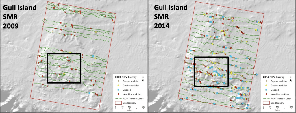 Biodiversidad de peces en área predefinida de Isla de Gull, Massachussets, en 2009 y 2014 (MARE Group, 2015).